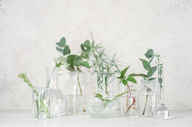 Grunge bej arka planda bitki ve otlarla dolu laboratuvar camları.