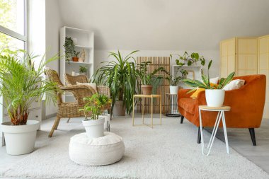 Yeşil çiçekleri, kanepesi ve hasır koltukları olan bir oturma odası.