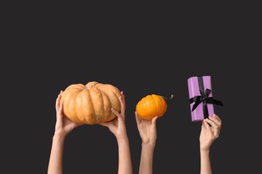 Balkabaklı kadın eller, siyah arka planda hediye kutusu. Cadılar Bayramı