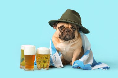 Şapkalı şirin bir Fransız bulldog 'u ve mavi arka planda duran bir sürü bira ve Bavyera bayrağı. Ekim Festivali Kutlaması