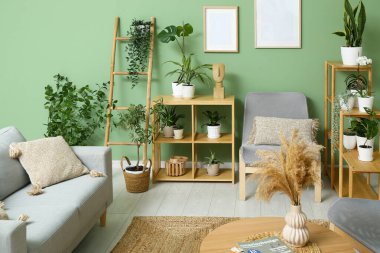 Gri kanepesi, koltuğu, kahve masası ve çiçekleri olan modern oturma odasının içinde.