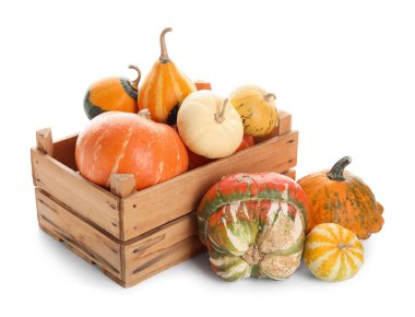 Beyaz arka planda farklı taze balkabakları olan ahşap kutu.