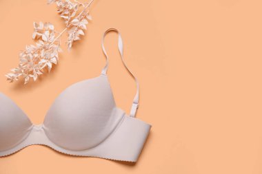 Renkli arka planda şık kadın sütyeni ve kurutulmuş bitki dalı