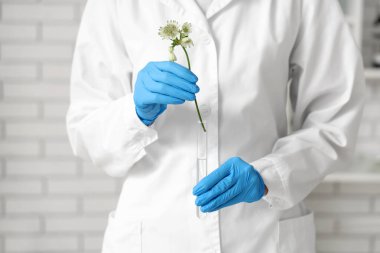 Laboratuvarda test tüpü olan kadın bilim adamı, yakın plan.