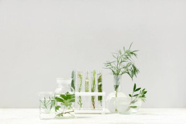 Grunge bej arka planda bitki ve otlarla dolu laboratuvar camları.