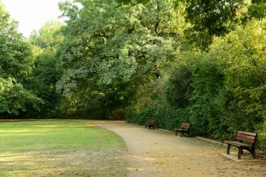 Bankları, yeşil otları ve ağaçları olan güzel bir park manzarası