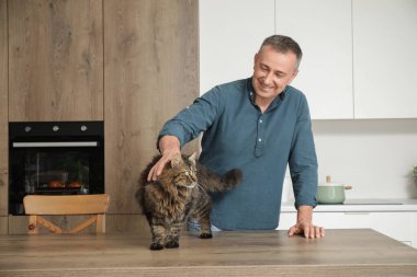 Olgun bir adam evde sevimli bir kediyi okşuyor.