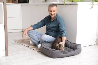 Evcil hayvan yatağında sevimli kediyi okşayan olgun bir adam.