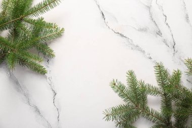 Beyaz arkaplanda Noel ağacı dalları