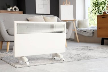 Oturma odasında yerde elektrikli ısıtıcı var.