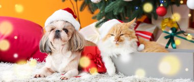 Noel arifesinde evde Noel Baba şapkalı şirin kedi ve köpek