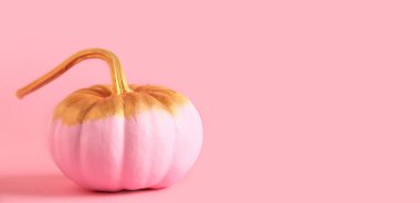 Pembe arkaplanda boyanmış balkabağı ve metin için boşluk