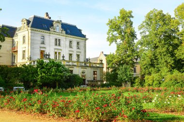 Güneşli bir günde güzel bir bina ve çiçek manzarası