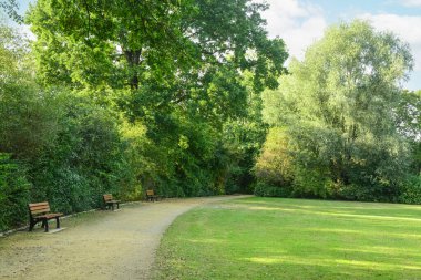 Bankları, yeşil otları ve ağaçları olan güzel bir park manzarası