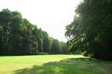 Yeşil çimenli ve ağaçlı park manzarası