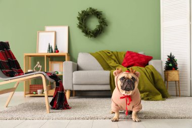 Noel arifesinde evde ren geyiği kostümlü şirin bir köpek var.