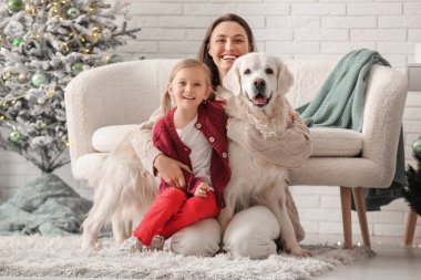 Mutlu genç anne ve küçük kızı Noel arifesinde evde şirin Labrador köpeğiyle