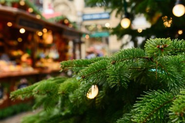 Firavun dalları Noel panayırında, yakın plan