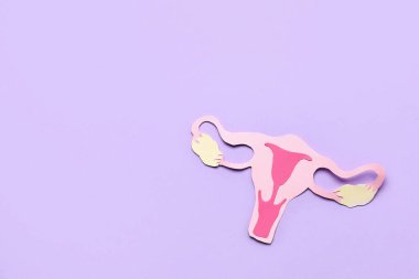 Leylak arkaplan üzerine kağıt uterus