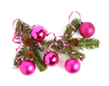 Beyaz arka planda topları, konileri ve yılanı olan Noel ağacı dalları