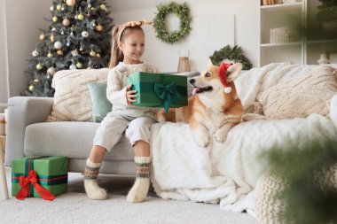 Corgi köpeği ve Noel hediye kutularıyla geyik boynuzları takan sevimli mutlu kız evde oturuyor.