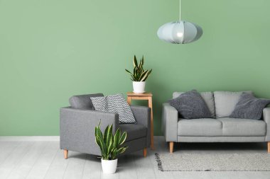 Gri kanepeli şık bir oturma odası, çiçek, koltuk ve modern asılı lamba.