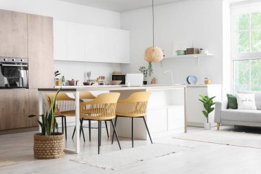 Yemek odasının içinde sandalyeler, masa ve ev bitkileri var.