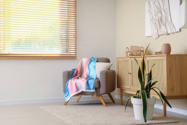 Koltuğu ve çekmecesi transseksüel bayrağıyla oturma odasının içinde.