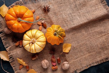 Sonbahar yapraklı taze balkabakları, yıldız anasonu ve koyu arkaplanda farklı fındıklar.
