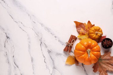 Beyaz arka planda yıldız anason, tarçın ve sonbahar yapraklı taze balkabakları