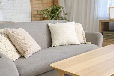 Kanepesi ve yumuşak yastıkları olan modern bir oturma odası.