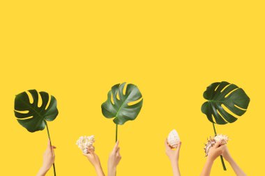 Kabuklu dişi eller ve sarı arka planda canavar yaprakları. Seyahat kavramı