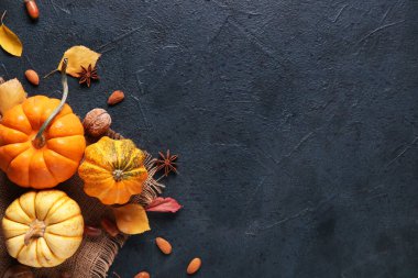 Sonbahar yapraklı taze balkabakları, yıldız anasonu ve koyu arkaplanda farklı fındıklar.