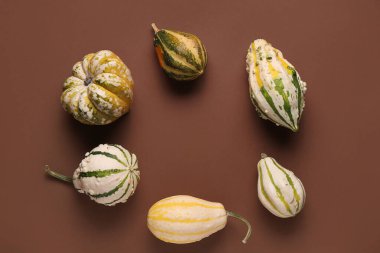 Kahverengi arka planda taze balkabaklarından yapılmış çerçeve