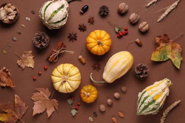 Farklı fındıklı taze balkabakları, gül kalçası böğürtlenleri, çam kozalakları, yıldız anason, tarçın ve sonbahar yaprakları kahverengi arka planda.
