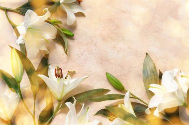 Metin için Grunge arkaplanındaki beyaz zambak çiçekleri