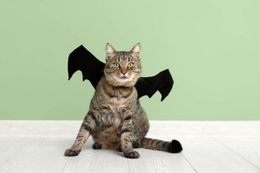 Yeşil duvarın yanında yarasa kanatları olan sevimli bir kedi.