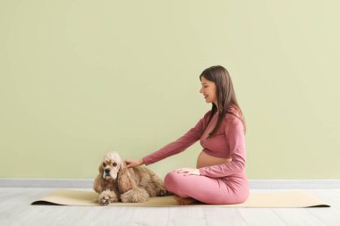 Cocker Spaniel 'le yeşil duvarın yanında yoga yapan güzel, genç ve sportif hamile bir kadın.