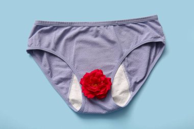 Mavi arka planda kırmızı çiçekli adet külotu.