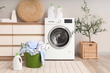 Çamaşır makinesi, çekmeceler, ev bitkileri ve giysili sepeti olan ev çamaşırhanesi.