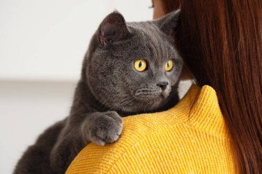 Sonbahar günü mutfakta sevimli İngiliz kedisi olan genç bir kadın, yakın plan.