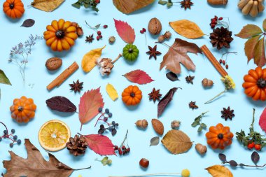 Balkabağı şeklinde mumlar, sonbahar yaprakları ve mavi arka planda böğürtlenler