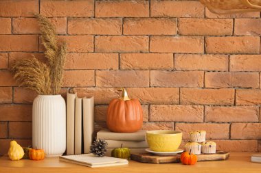 Odadaki tuğla duvarın yanında klozet üzerinde kitapları olan balkabakları