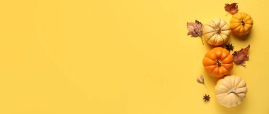 Taze balkabakları ve sonbahar yaprakları sarı arkaplanda ve metin için boşluk var