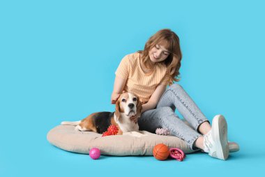 Sevimli av köpeği ve evcil hayvan yatağında mavi arka planda oyuncakları olan genç bir kadın.