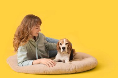 Genç bir kadın, sarı arka planda sevimli bir av köpeğiyle evcil hayvan yatağında yatıyor.
