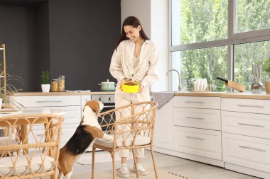 Sahibi evdeki sevimli av köpeğini besliyor.