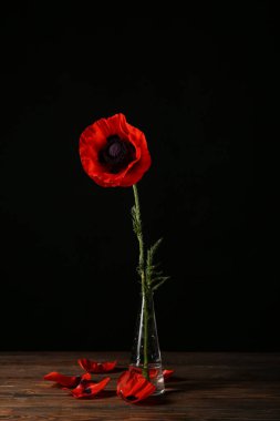 Ahşap masada güzel gelincik çiçekli cam vazo.