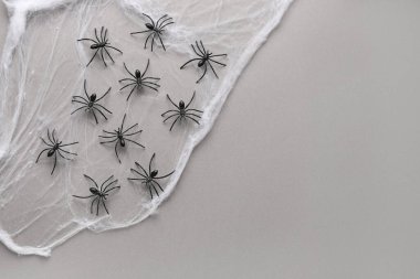 Gri arkaplanda Cadılar Bayramı partisi için örümceklerle örümcek ağı