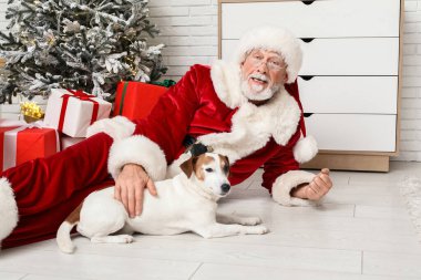 Noel Baba ve şirin Jack Russell Terrier köpeği Noel 'i evde kutluyorlar.